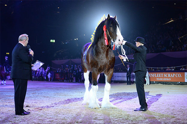 Horse Of The Year Show 2017 - Tickets